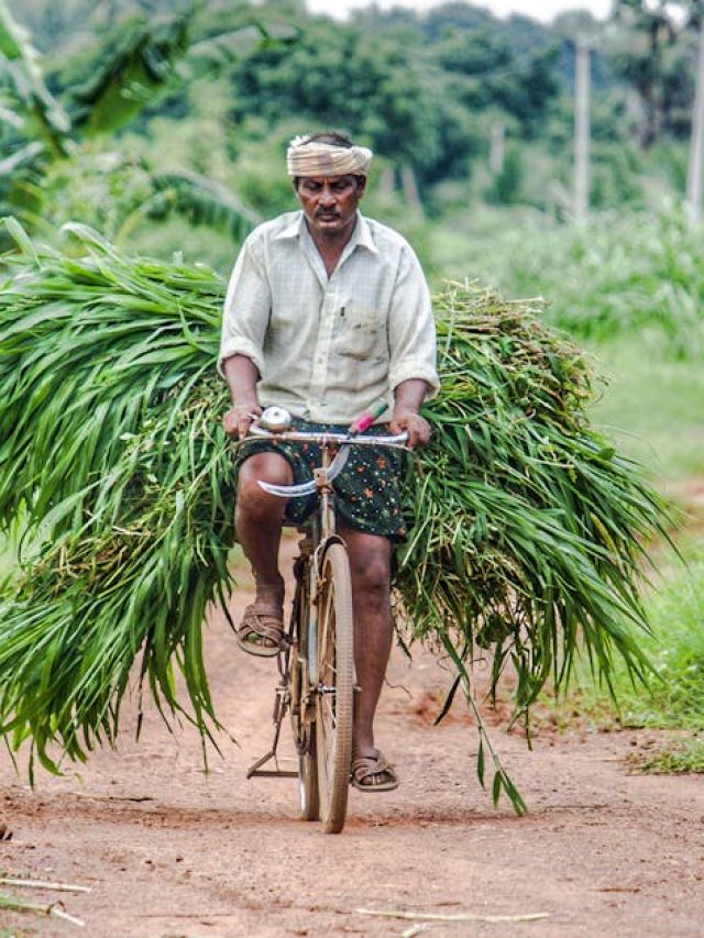 क्या आपके खाते में आएगी PM किसान की 20वीं किस्त? ऐसे करें चेक