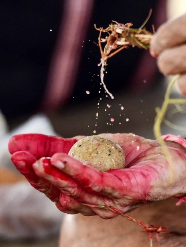 पितृपक्ष में इस रूप में धरती पर आते हैं पितृ, भूलकर भी ना करें अपमान