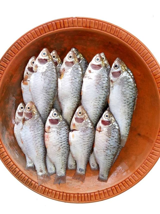 সস্তার পুঁটি মাছ খেলে শরীরে এসব হয়, দামি মাছ খাওয়া ছাড়ুন তো