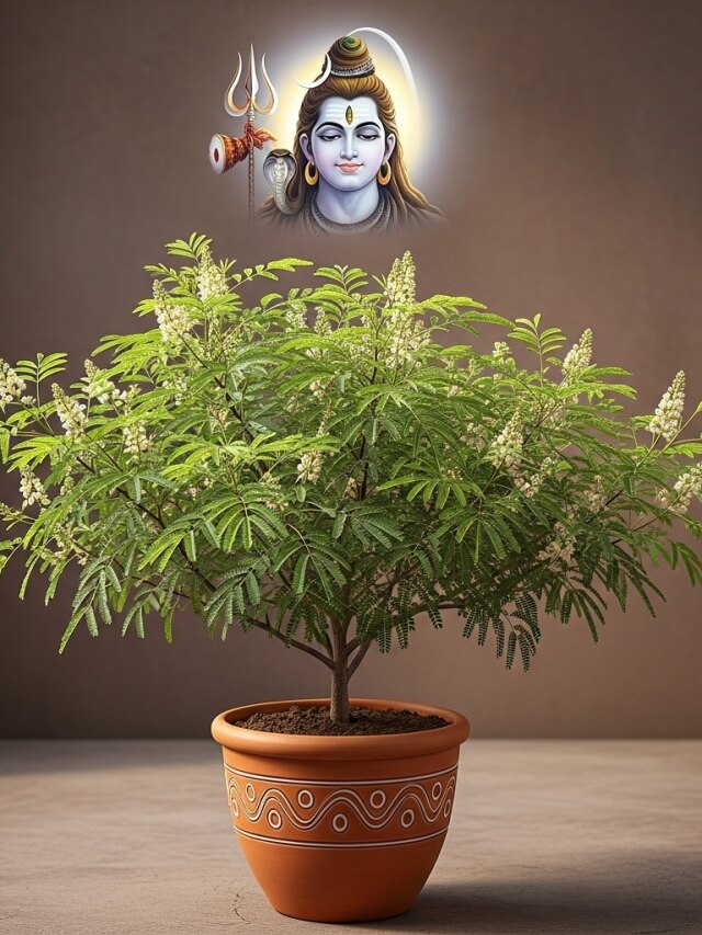 सावन में लगाएं ये 4 पवित्र पौधे, खुलेंगे भाग्य के द्वार