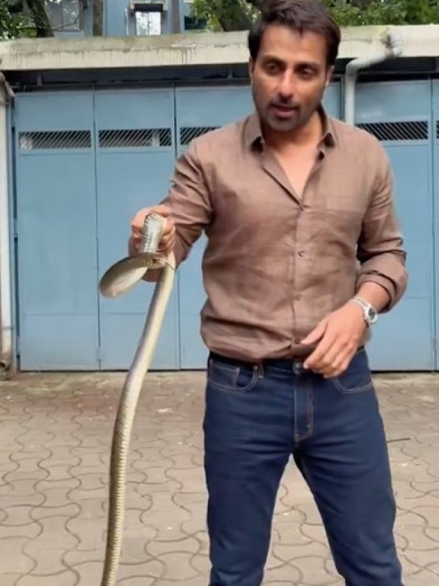 खतरों से खेलते दिखे सोनू सूद, सावन के महीने में पकड़ा सांप, चेहरे पर नहीं दिखा डर