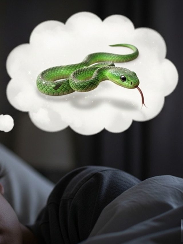 सपने में इस एक चीज का दिखना बेहद शुभ, सावन में तकदीर चमकने का है इशारा