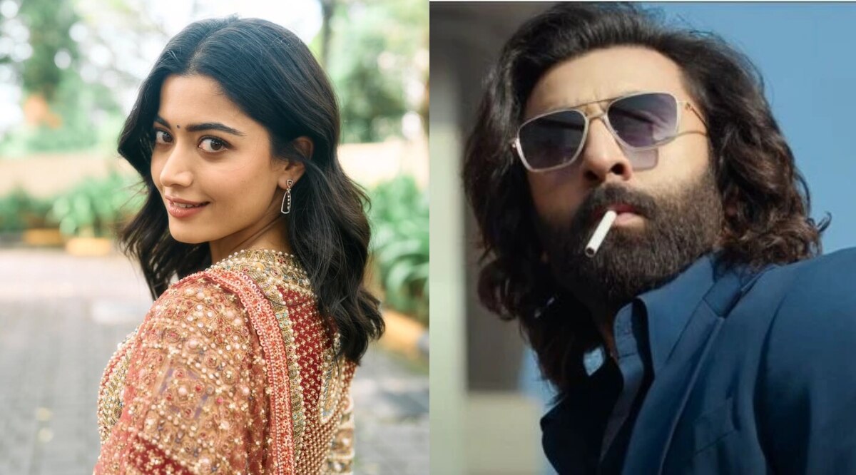 'एनिमल' को लेकर बड़ी बात बोल गईं रश्मिका, होने लगीं ट्रोल, यूजर्स बोले- किस दुनिया...