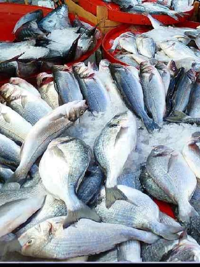 পেটে গেলেই বিষক্রিয়া! বন্ধ করুন এই ৬ মাছ খাওয়া