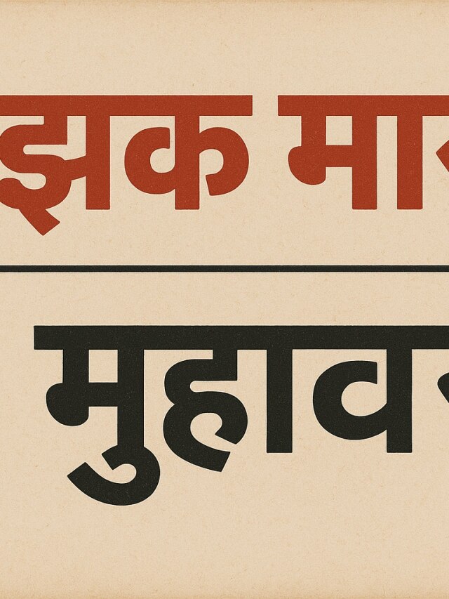 झक मारना मुहावरे में झक का क्या मतलब होता है?
