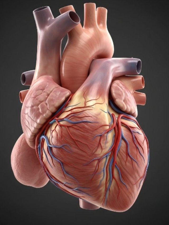 हार्ट हेल्थ के लिए डॉ. आलोक चोपड़ा के 5 जबरदस्त टिप्स, फॉलो कर दिल हो जाएगा फिट