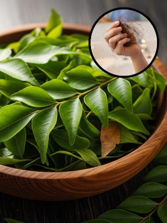 झड़ते बालों से पाना है छुटकारा? रोजाना खाली पेट चबाएं ये पत्तियां, जल्द दिखेगा असर