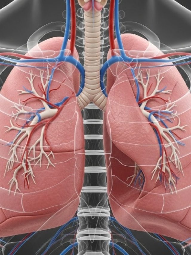 चुपचाप फेफड़ों को खराब कर रही हैं घर की 5 चीजें, डॉक्टर ने दी चेतावनी