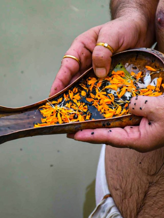 पितृपक्ष में जरूर करें ये खास उपाय, पितरों की कृपा से दूर होगा पितृ दोष