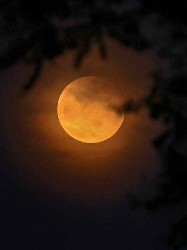 50 साल बाद बना चंद्र ग्रहण पर शनि होंगे वक्री, इन राशियों को होगा बड़ा लाभ