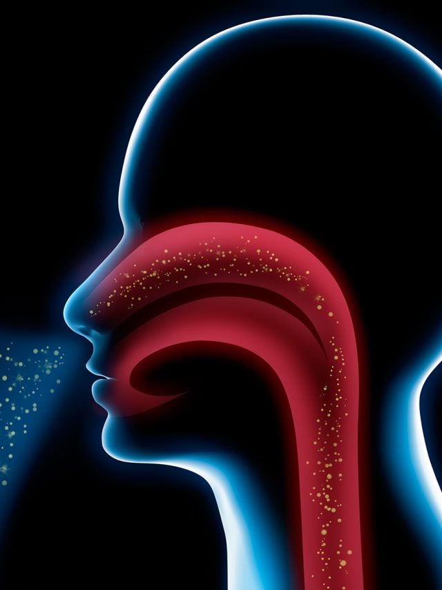 You’re inhaling plastic: New study finds 70,000 particles in your daily air