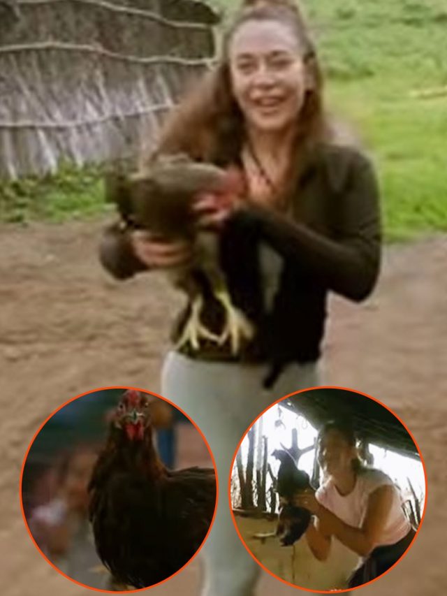 मुर्गियों के पीछे दौड़ीं हसीनाएं-छूटे पसीने, गांव जाकर हुईं बेहाल, देखते रह गए गांव वाले