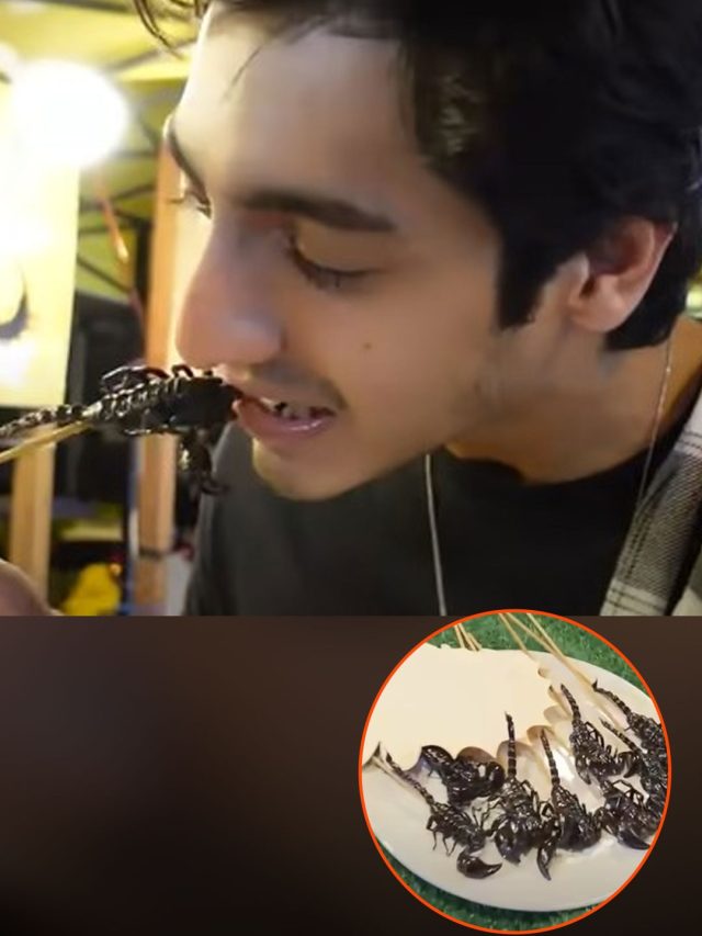 'सैयारा' एक्टर ने खाया बिच्छू, बहन ने बनाया मुंह, 2 साल बाद वीडियो Viral, ट्रोल हुए अहान पांडे