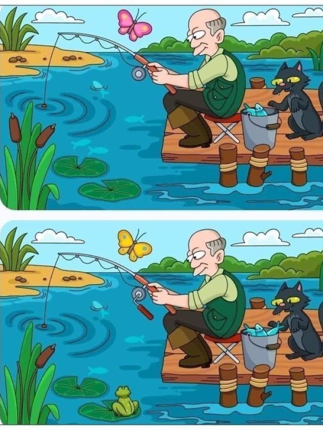 पेंटर ने तस्वीर में कर दी हैं 5 गलतियां, 10 सेकंड में खोजने का चैलेंज