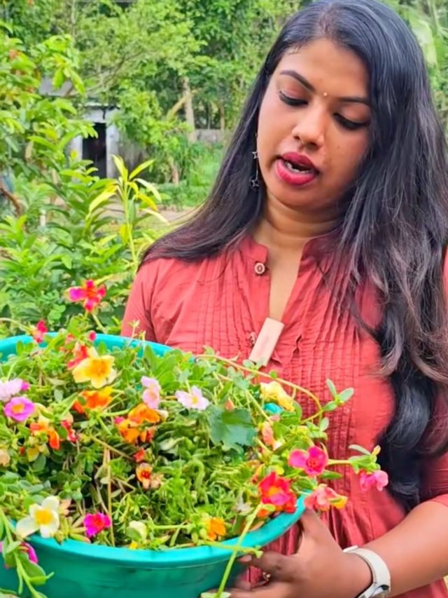 She Grew Her Salary in Soil: How a Kochi coder built a Rs 1 lakh weekend empire