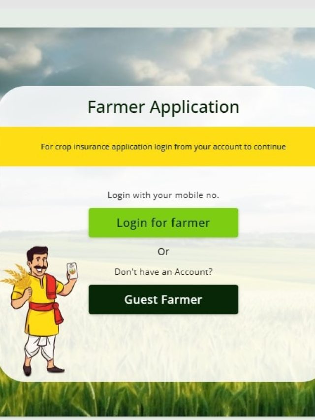 इन खरीफ फसलों का बीमा करा सकते हैं किसान, जानें कैसे करें आवेदन