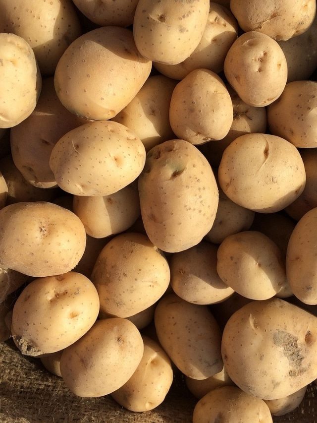 दुबई और अमेरिका में कितने रुपये किलो मिलते हैं आलू?