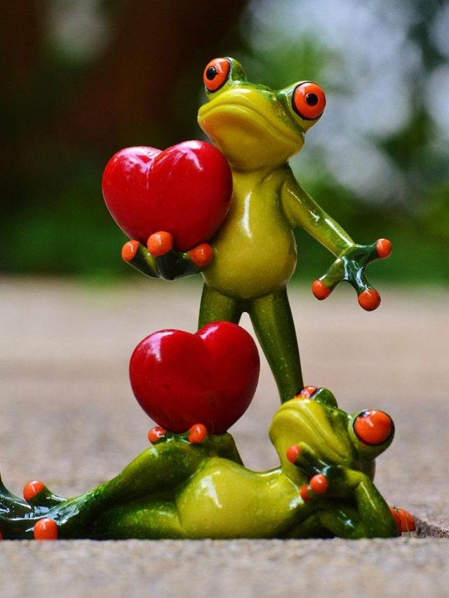 সংস্কৃতে 'I Love You' কীভাবে বলে ? উত্তরটা কিন্তু খুব মজার