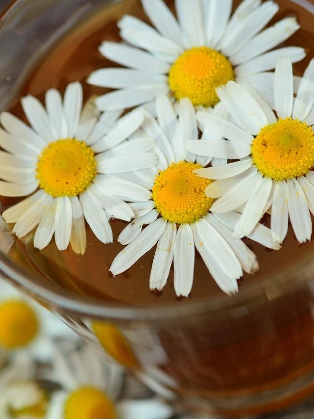 रोज रात में सोने से पहले जरूर पिएं ये चाय,  मिलेंगे अनगिनत फायदे