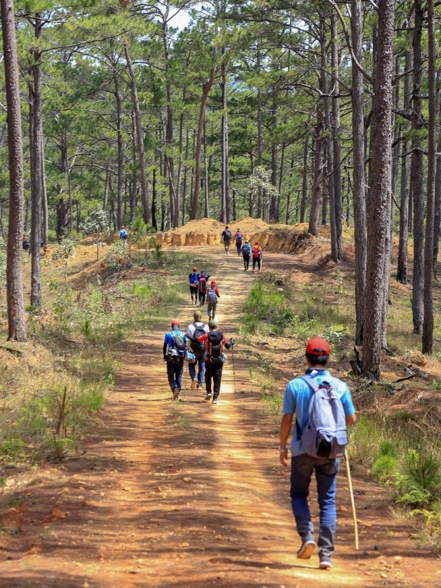 सोलो ट्रिप पर जरूर आजमाएं ये 5 सीक्रेट ट्रिक्स, नहीं होगा कोई खतरा