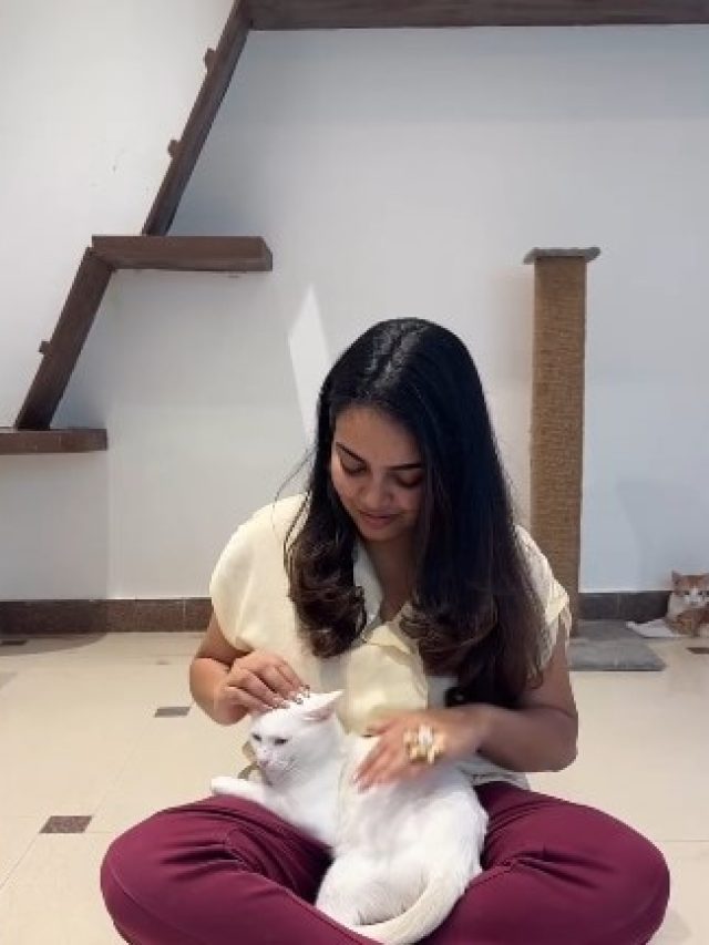 हैदराबाद का पेट कैफे, जहां कुत्ते बिल्लियों के साथ कर सकते हैं लंच