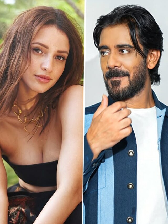 नेशनल क्रश बनकर छाईं तृप्ति, गलत चॉइस ने फीकी की पहचान? को-एक्टर बोला- सचिन भी...