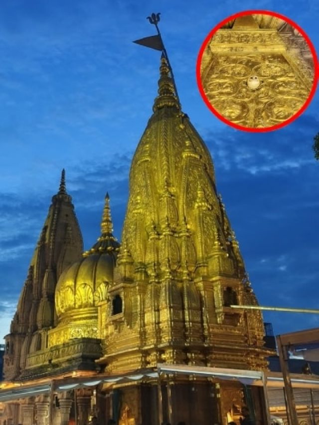 काशी विश्वनाथ धाम के स्वर्ण शिखर पर दिखा सफेद उल्लू, भक्तों ने माना सौभाग्य का संकेत