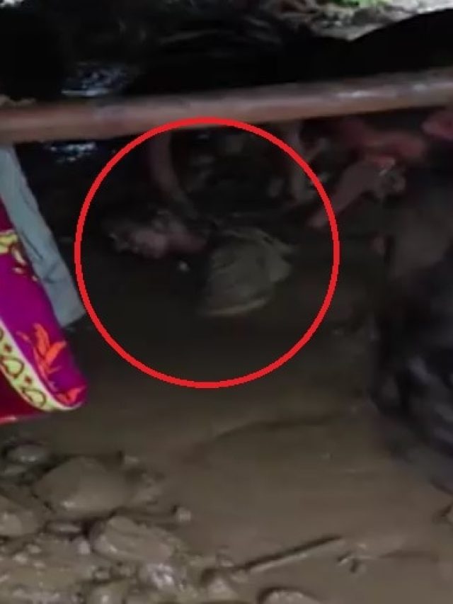 कठुआ में तबाही का भयावह मंज़र, कीचड़ में समाई महिला, देखें रेस्क्यू का वीडियो