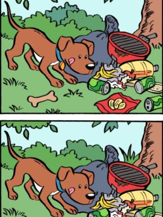 सिर्फ तेज नजर वाले ही खोज पाएंगे 6 गलतियां, 10 सेकंड का चैलेंज