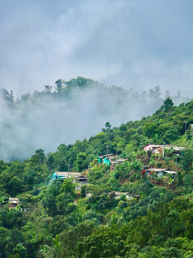 नंदी हिल्स से कूर्ग तक... बेंगलुरु के पास ये 4 जगहें लगती हैं जन्नत