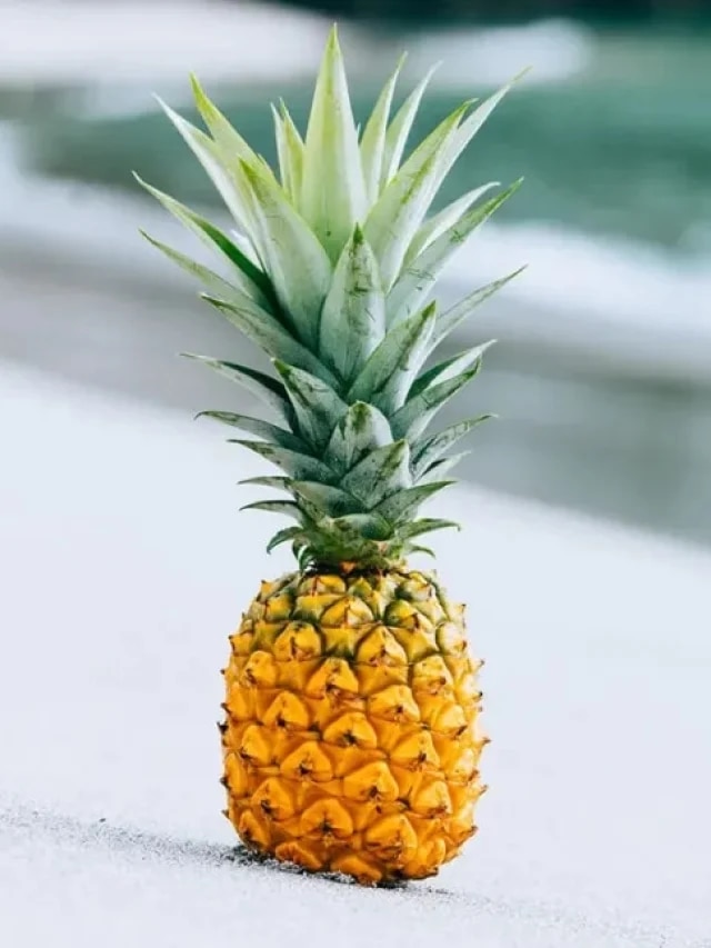 মাথায় মাখুন আনারস! চুলের যত্নে দারুণ টোটকা