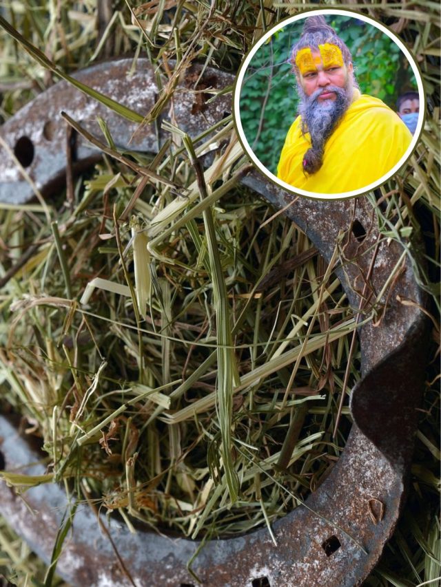 घोड़े की नाल की रिंग पहनने से दूर होंगे कष्ट? प्रेमानंद महाराज ने दिया ये जवाब