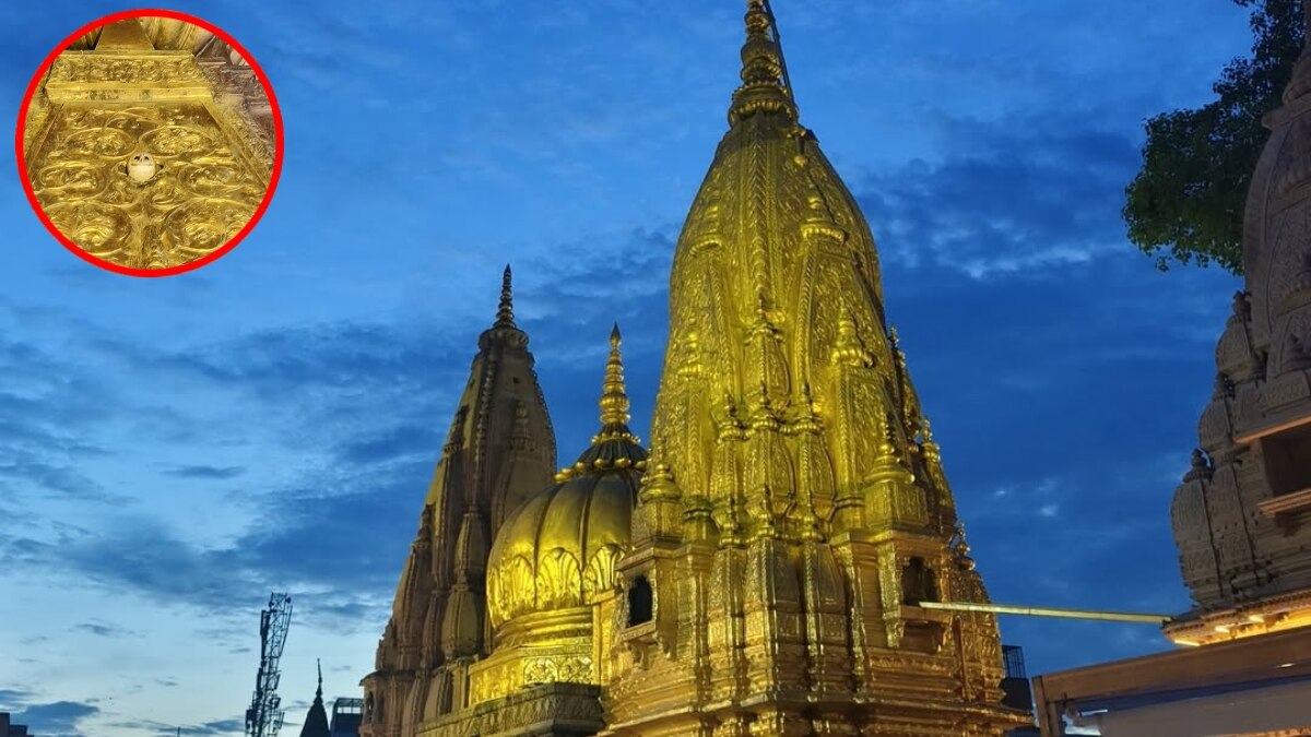 काशी विश्वनाथ धाम के स्वर्ण शिखर पर दिखा सफेद उल्लू, भक्तों ने माना सौभाग्य का संकेत