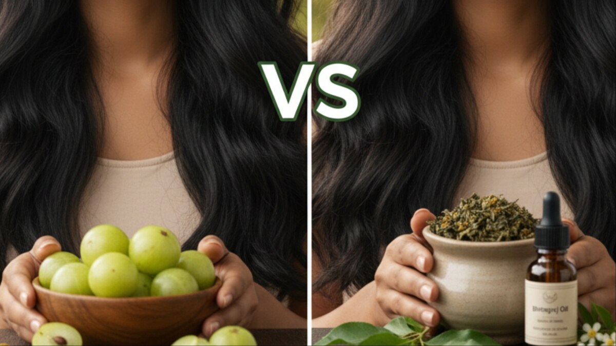 आंवला vs भृंगराज: सुंदर, काले और घने बालों के लिए क्या है ज्यादा बेहतर?