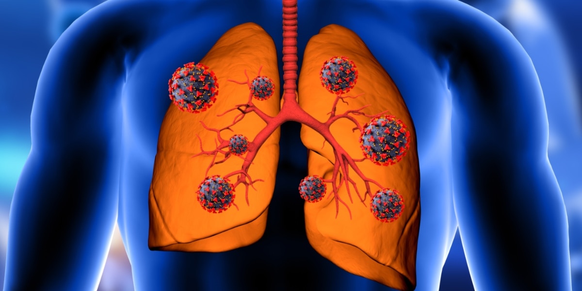 खराब फेफड़ों में जान फूंक देंगे ये 6 'चमत्कारी' बीज! जानें खाने का सही तरीका