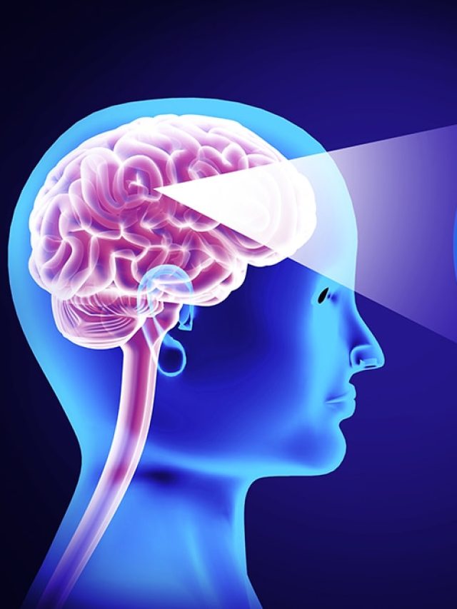 Child to senior: brain infection spares no age in Kerala outbreak