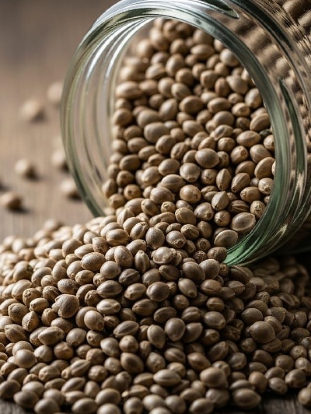 वजन घटाने के लिए असरदार हैं ये पहाड़ी बीज, जानें एक दिन में कितना खाना सही