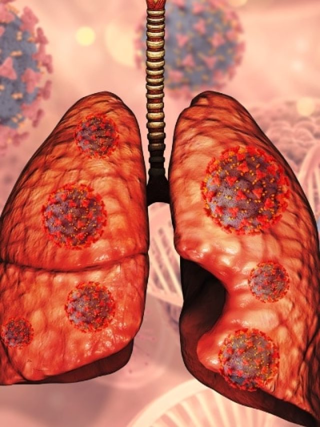 खराब फेफड़ों में जान फूंक देंगे ये 6 'चमत्कारी' बीज! जानें खाने का सही तरीका