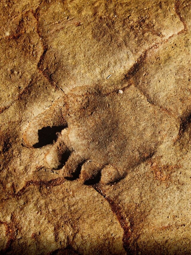 Scientists just found 300,000-year-old footprints, and they’re not from hunters
