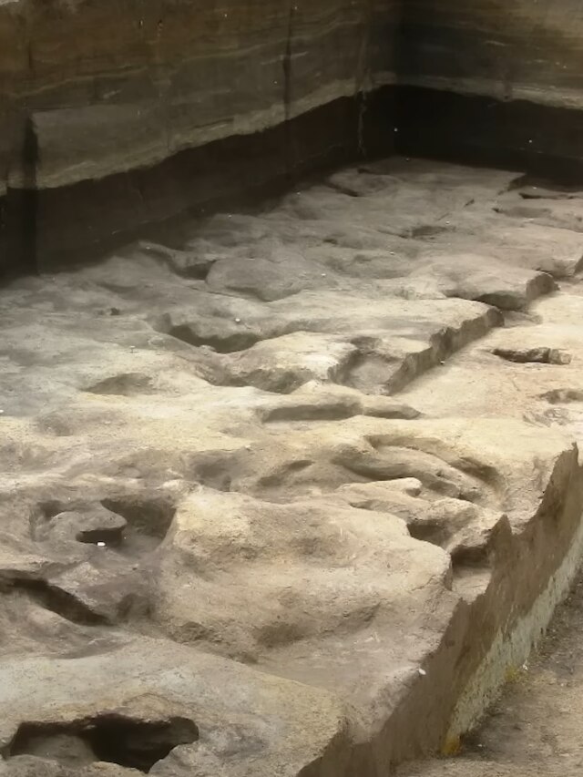 The Oldest Walk in Germany: Homo Heidelbergensis Left a Trail