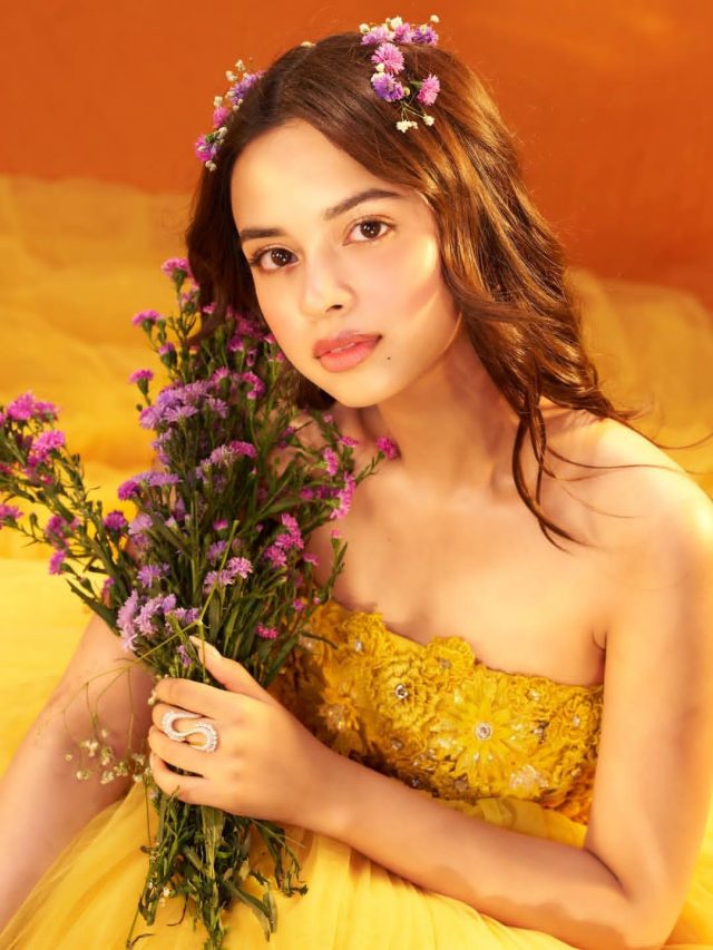 'लापता लेडीज' की फूल कुमारी के हाथ लगी साउथ की फिल्म? इस एक्टर संग करेंगी रोमांस