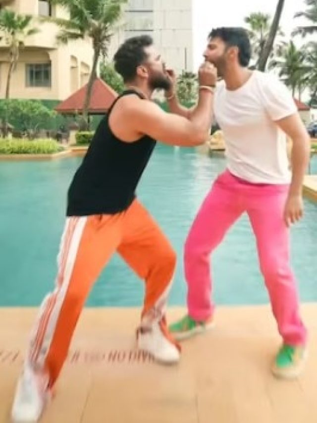 डांस करते हुए पूल में गिरे वरुण धवन, भोजपुरी स्टार खेसारी लाल ने भी लगा दी छलांग, VIDEO