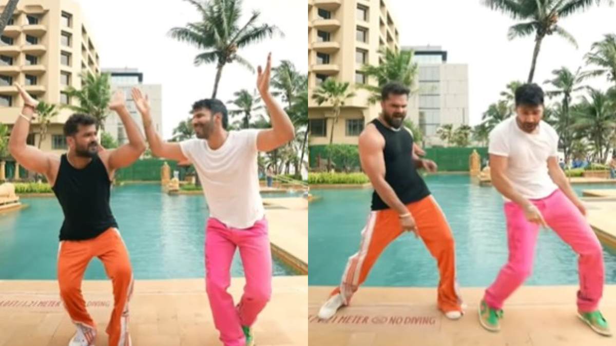 डांस करते हुए पूल में गिरे वरुण धवन, भोजपुरी स्टार खेसारी लाल ने भी लगा दी छलांग, VIDEO