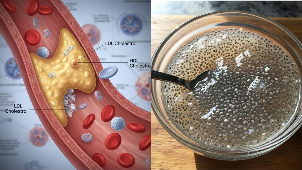 बैड कोलेस्ट्रॉल होगा कम और हार्ट हेल्थ रहेगी बेहतर, जान लें चिया सीड्स खाने का सही तरीका