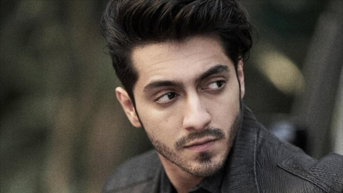 'सैयारा' के बाद अगली फिल्म की तैयारी में अहान पांडे, शेयर किया अपना लुक, फैंस फिदा