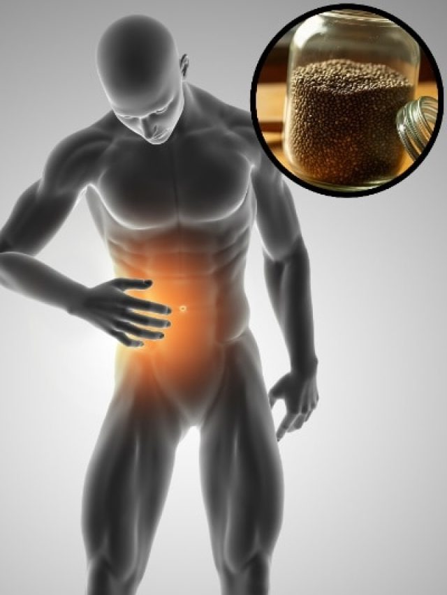 पेट की समस्याओं से मिलेगी राहत, डॉक्टर ने बताया चिया सीड्स में मिलाएं ये चीज