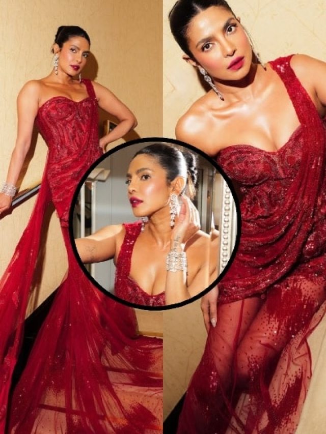 2,700 घंटों में बना प्रियंका चोपड़ा का 'रॉयल गाउन', डायमंड ब्रेसलेट ने बढ़ाई शान