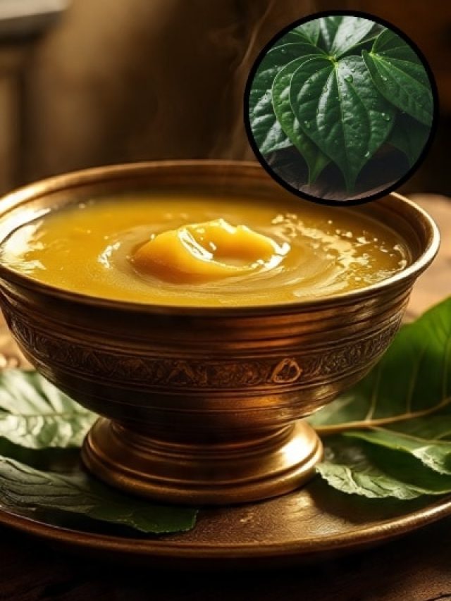देसी घी बनाते समय क्यों डालते हैं पान का पत्ता? वजह जान तुरंत आजमाएंगे ये देसी नुस्खा