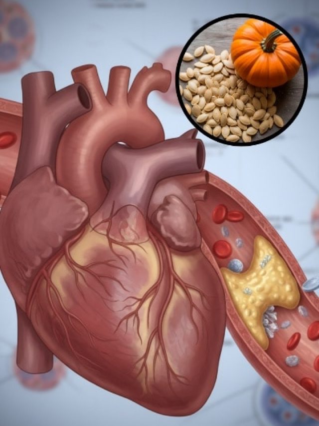 रोजाना मुट्ठीभर खाएं कद्दू के बीज, बढ़ेगा गुड कोलेस्ट्रॉल और घटेगा हार्ट रिस्क