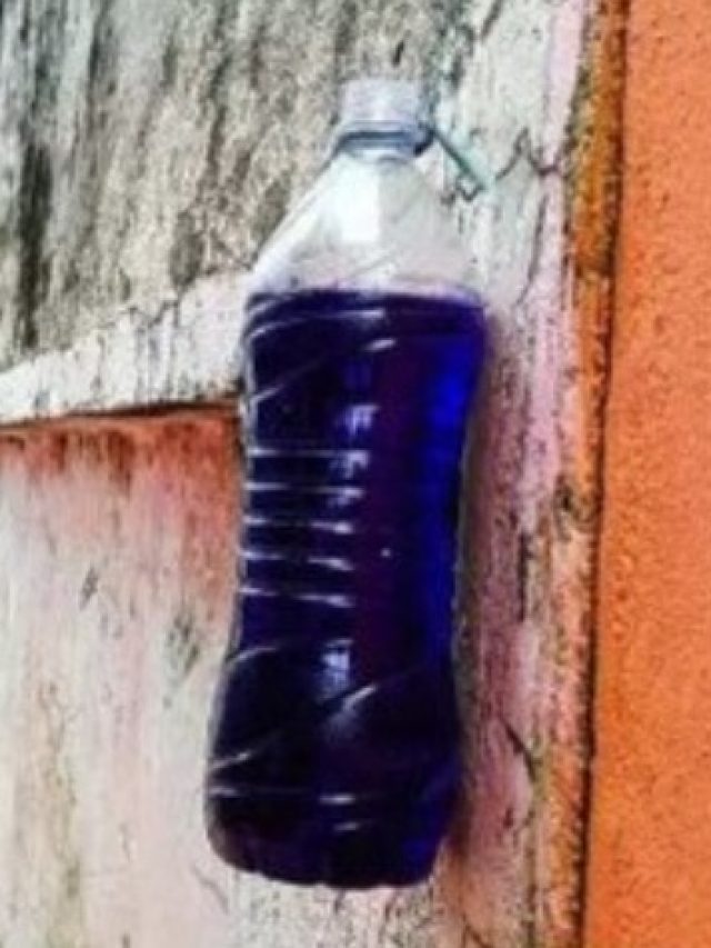 घर के बाहर नीली बोतल लटकाने से आखिर होता क्या है, लोग ऐसा क्यों कर रहे हैं?